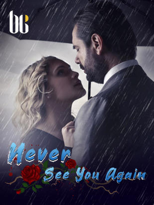 Never See You Again